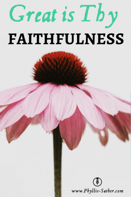 Great is Thy Faithfulness. We sang this hymn the other night at our home group. I’m always amazed at how much some people can say in such a few words. #faithful #faithfulness #biblicalencouragement