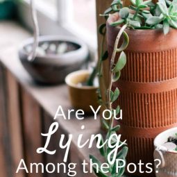 Have you ever found yourself lying among the pots? What would that look like? I’m assuming the Psalmist didn’t mean clean pots, but dirty ones.