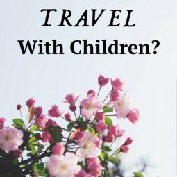 Do You Travel With Children?