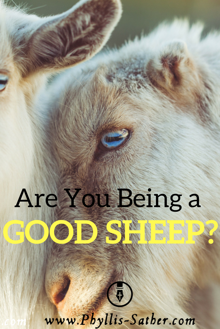 I think the biggest reason we are succeeding is that we have all taken responsibility for being good sheep. I’m going to assume that all or most of you believe that the father is the head of the home – the shepherd. A shepherd is only as good as his sheep.