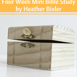 My Treasures - Four Week Mini Bible Study by Heather Bixler. If you've ever struggled with your attitude about money you will want to check out this book.