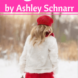 Single Girl the single woman's guide to life, liberty and the pursuit of godliness by Ashley Schnarr