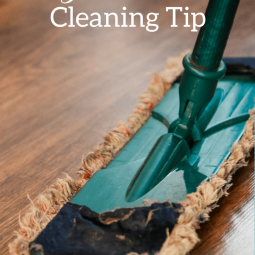 I’m sure many of us mothers and wives do the same thing. We’re constantly picking up; bringing order, or wiping something up or wiping something off. Like Marci says in the above article – most of these things take less than five minutes, but it can give you a satisfied feeling when you are keeping your home in order.