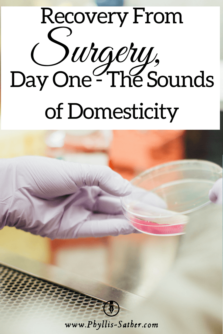 Recovery From Surgery, Day One - The Sounds of Domesticity