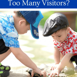 What Do You Do When There Are Just Too Many Visitors?
